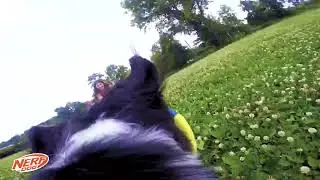 Nerf Dog Nylon Flyer Dog Toy