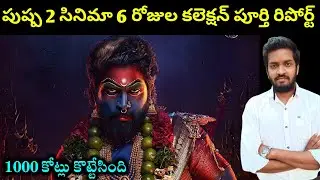 Pushpa 2 Movie Day 6 Collection Complete Detailed Report