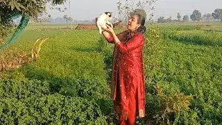 Aaj bhout thand c ,asi ki ki ਬਣਾਇਆ, ਇਨਾਂ ਸਾਰਾ ਸਾਮਾਨ ਖਾਨ ਲਈ ਦੇਖੋ 
