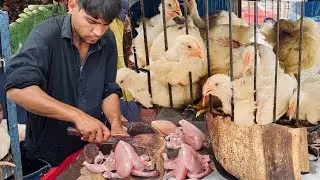 How to Cut a Whole Chicken | Fastest Chicken Cutting Skills | Peshawar Street Chicken Shop