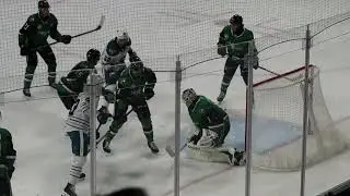 Texas Stars Hockey!
