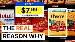 Greedflation - Proof How Companies Profit from Inflation