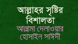 আল্লাহর সৃষ্টির বিশালতা | দেলাওয়ার হোসাইন সাঈদী | Delwor Hossain Sayeedi | Sristir Bishalata