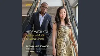 Clarinet Sonata No. 2 in E-Flat Major, Op. 120 No. 2: I. Allegro amabile