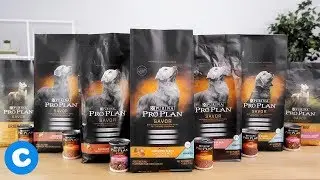 Purina Savor Dog Food | Chewy