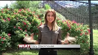 Around Town: Splash Adventure