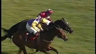 2004 Supreme Novice's Hurdle  Brave Inca Includes Post Race