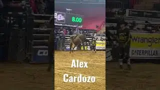Alex Cardozo vs Total Feeds Bushwacked - 86.00 pontos