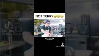 terry the lobster gets a sandwich