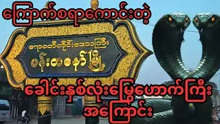 ကျိန်စာသင့် ခေါင်းနှစ်လုံးမြွေရဲ့ လျှို့ဝှက်ချက်    The Nightmare of the Two-Headed Snake