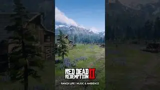 Ranch Life | Music & Ambience | Red Dead Redemption 2 #shorts #rdr2 #ambience #gaming