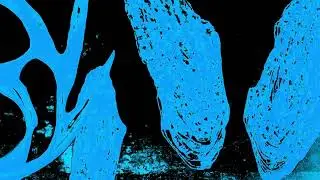 The Spoiled - Hole In A Chest (Official Video)