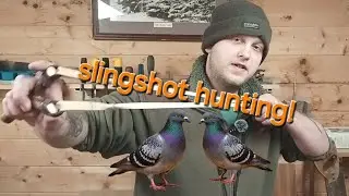 Slingshot hunting feral pigeon pest control