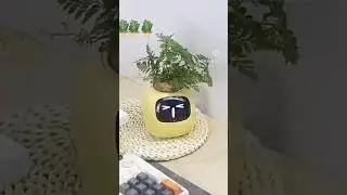 Cute smart planter #AIplanter#plantlover#greenplants#flowerpot#smartpot