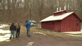 Maple-tapping season begins in Wayne County | On The Pennsylvania Road