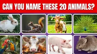 Can You Name These 20 Animals | Picture Quiz Challenge
