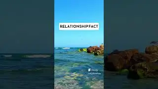 Psychology Facts Only: Decode the Mystery of Attraction 😍 | Relationship Facts #pyschologyfacts