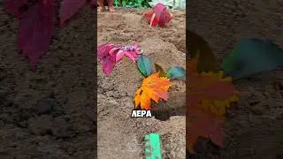 Дети сегодня представили мне свой проект - песочные замки, построенные для меня. #blog