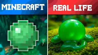 Minecraft vs Real Life