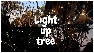 Review of Solar Fairy Lights Amazon | How to wrap trees or install lights on outdoor tree Christmas