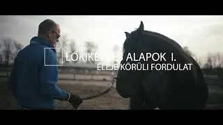 Lókiképzés alapok 1. - Eleje körüli fordulat