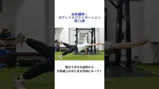 初心者は注意 難易度の高いコア強化運動 #体幹トレーニング