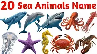 Sea Animals Names in English | Ocean Animals for Kids | Preschool Learning
