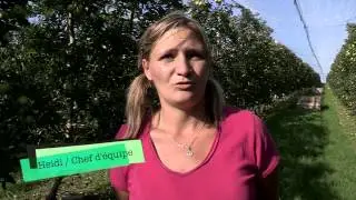 L'Arboriculture en Limousin