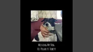 Missing My Dog