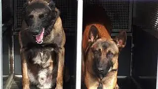 Raid training