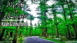 Ushu Forest and Kalam Bazar 2021 🔥🔥🔥  | Swat Valley | Tourist Attractions of Pakistan