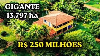 Fazenda Gigante no Vale do Araguaia COM 13797 Hectares com Água Abundante e Pista de Pouso