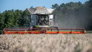 Claas Lexion 8600 TT et 6800 TT &agrave; la moisson du bl&eacute; - Sarl CVETA