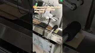 ZONESUN Automatic Bags Top Side Real Time Printing Labeling Machine With Paging Machine #labeler