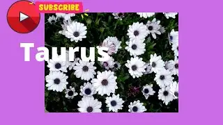 Taurus monthly messages March, 2020 Meditation will help you with emotional balance and stress.