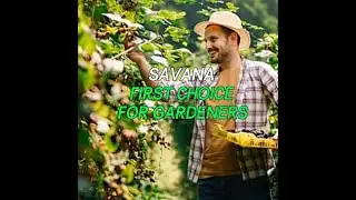 The modular garden bed brings you the pleasure of gardening.#savanagarden