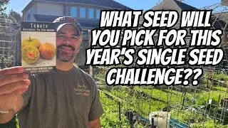 One Seed. One Challenge. Let’s Grow. 🌱 #SingleSeedChallenge2026