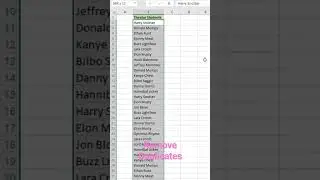 How to remove duplicates value in excel