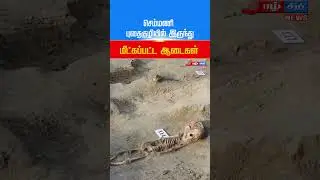 செம்மணி புதைகுழியில் இருந்து மீட்கப்பட்ட ஆடைகள் #semmani #jaffna #shortvideo