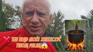 BestpalmTV. 🌴 Nie daj się nabrać! Dlaczego gotowe kable z termostatem to zły wybór?