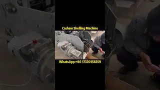 Automatic Cashew Nut Shelling Machine | High Efficiency & Precision#cashewnuts #peeling