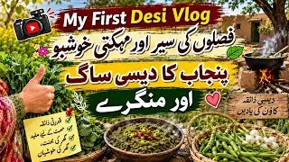 Pjunjabi vlog/desi saag or palak bnai/aj mein mongry torny bahir gai/bahir ka view#housewaifemoazma