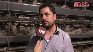 أهالي الدريج يتوسعون بمشاريع المداجن