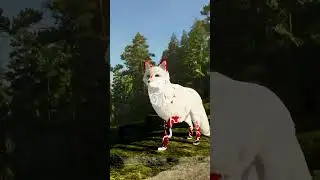 Spirit of fox furs 🦊