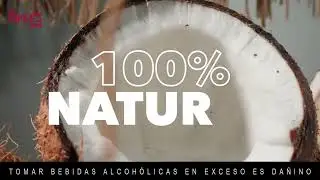 Planteray Cut & Dry Coconut: equilibrio, suavidad y car&aacute;cter. 🥥