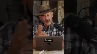 Effective Bullets for Deer Hunting