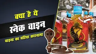 चाइना का एक और घटिया कारनामा- स्नेक वाइन 🙄| #shorts #snakewine snake wine in china by TFK