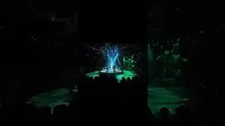 Fiesteval of the Lion King at HK Disneyland(July 16,2025)