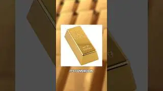 World's Most EXPENSIVE and CHEAPEST Smartphone! #facts