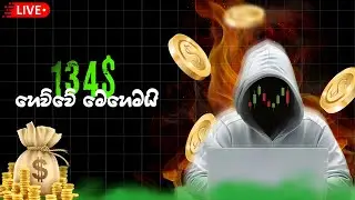 How I Captured 172 Pips Today! | $134 Profit Live Trade Breakdown 📈